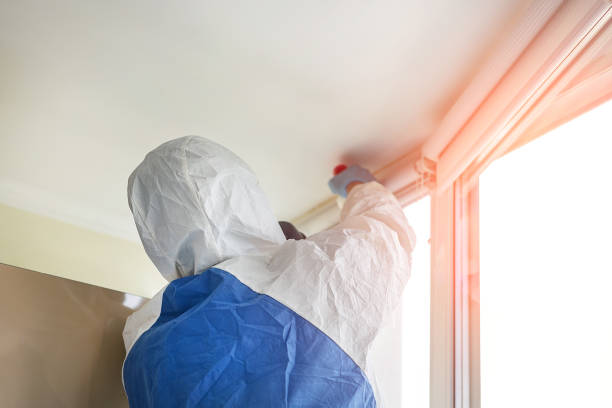 Asbestos and Lead Testing During Mold Inspection in Portland, TN