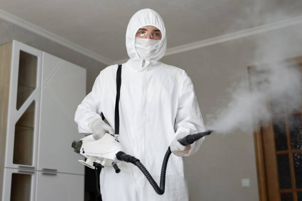 Mold Remediation for Vacation Homes in Portland, TN